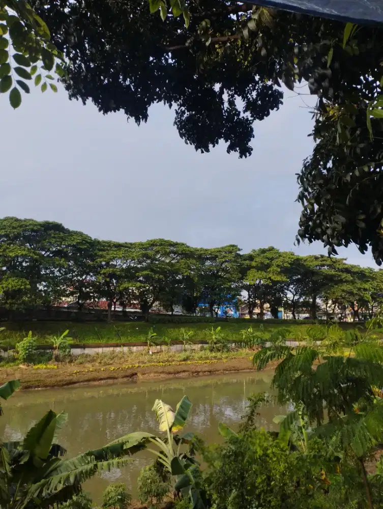 urgent, sedang mencari karyawan untuk besok