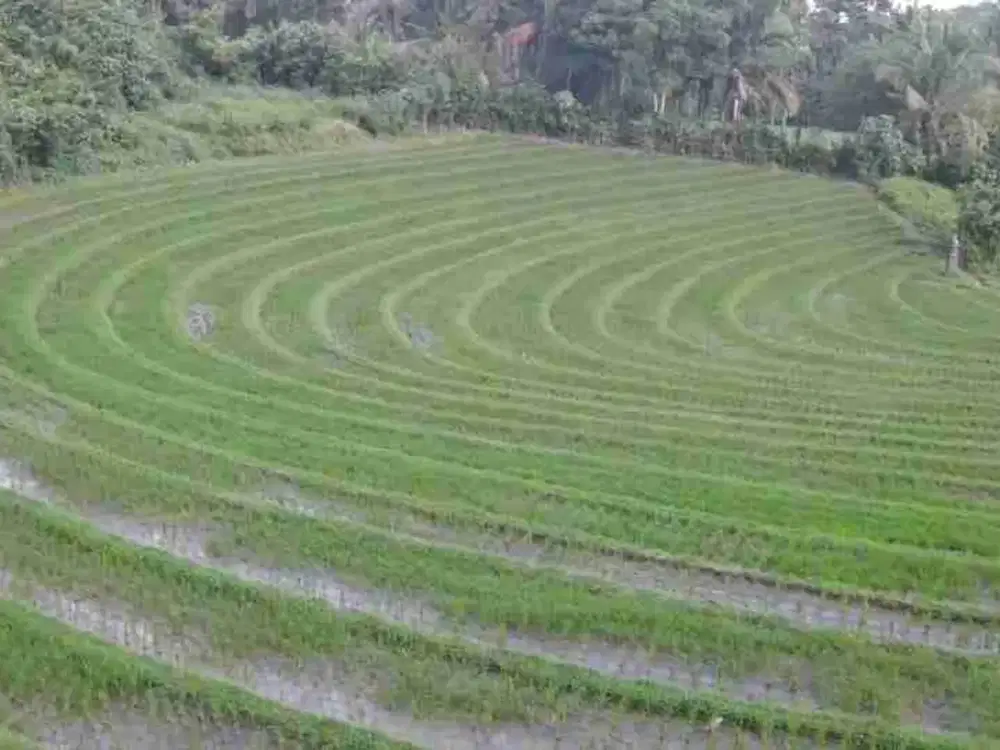 Tanah Komersial View Laut 500m ke Pantai Bonian