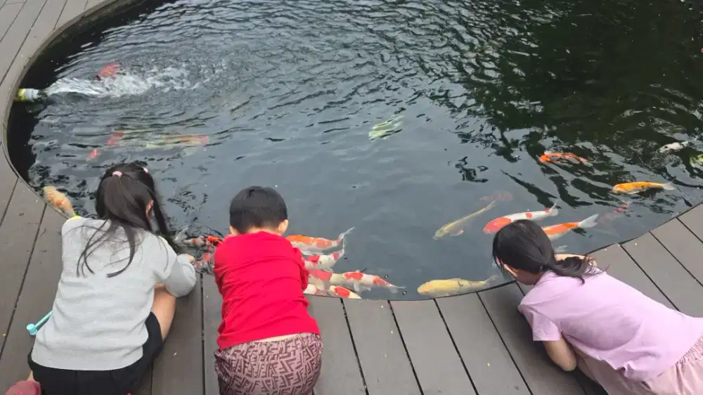 Dicari ART dan Baby Sitter