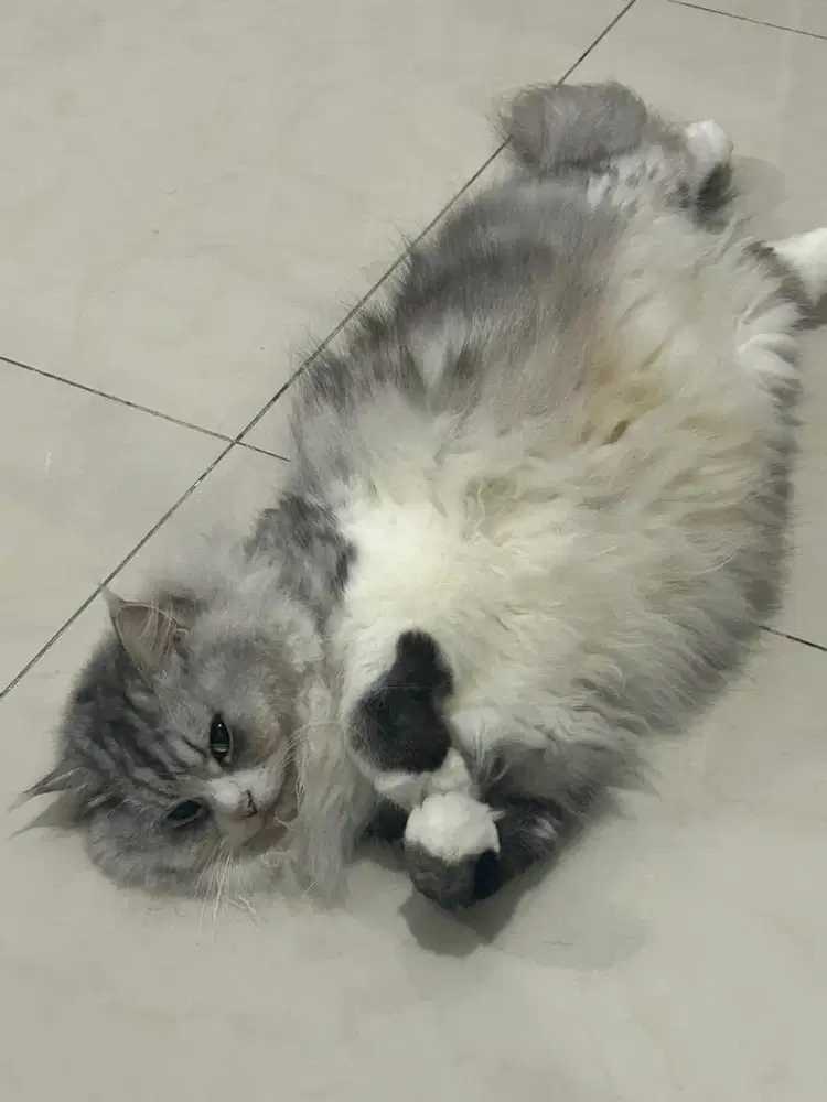 Art newborn dan bersih rumah