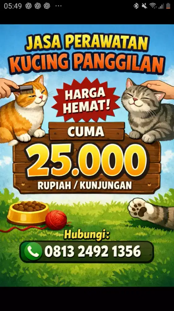 Jasa cat sitter panggilan