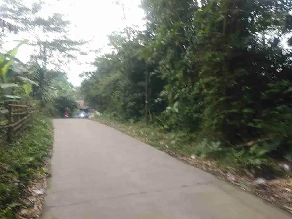 Tanah Kebun 3.938m² Rumpin Bogor SHM ada 40 Pohon Durian, Siap Panen!