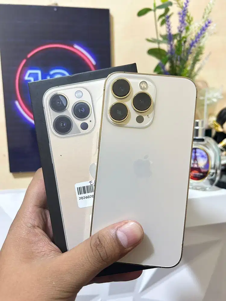 IPhone 13 Pro 128 Gb Gold Inter All Operator Mulus Normal