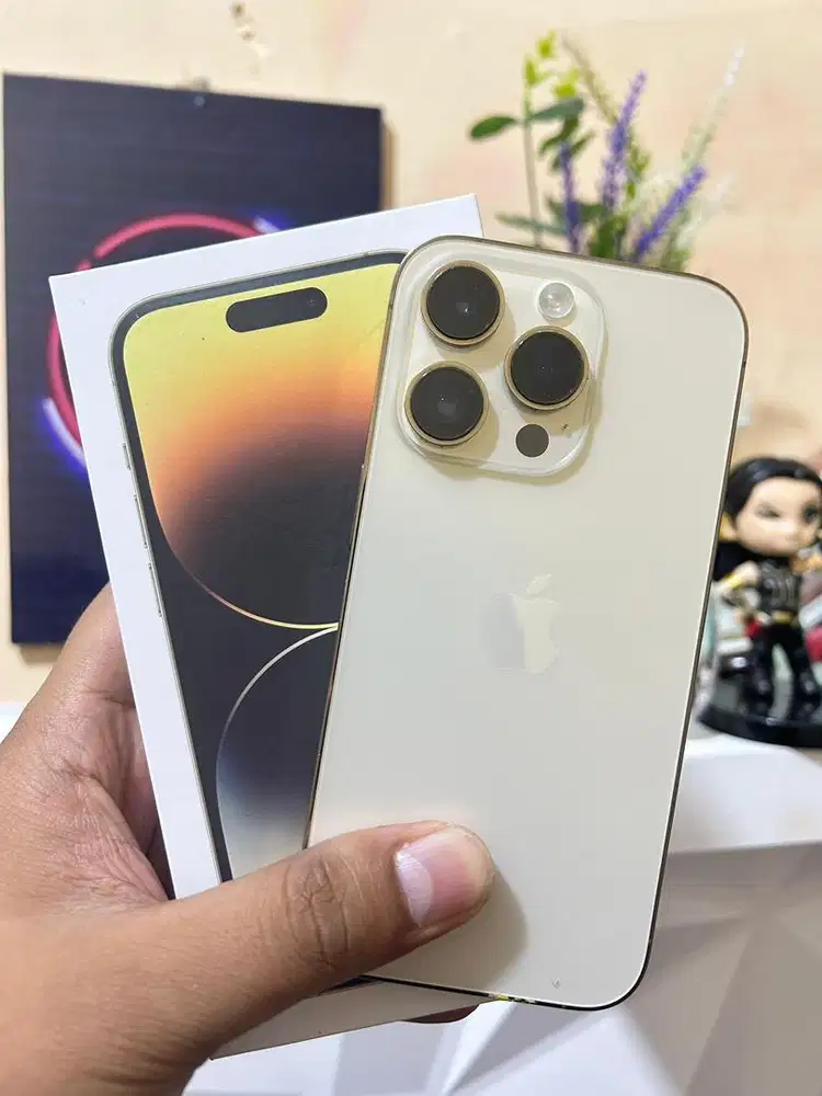 IPhone 14 Pro 128 Gb Gold Inter All Operator Normal Mulus