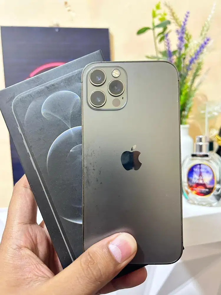 IPhone 12 pro 256 Gb Graphite Inter All Operator Normal