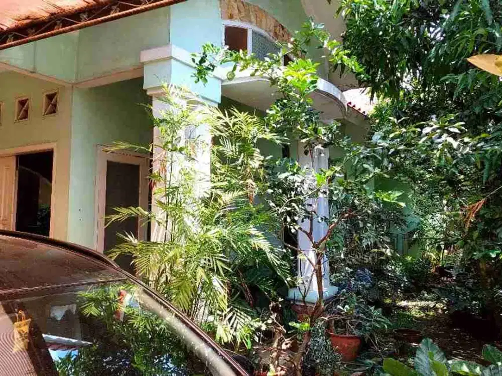 Rumah asri 1 lantai di Griya Telaga Permai Cibinong