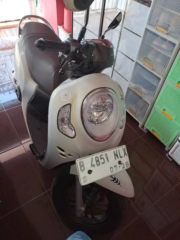 Honda Scoppy 2023 Putih