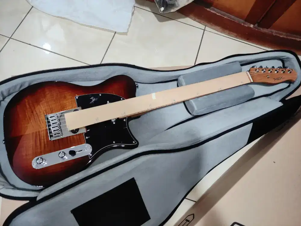 Gitar Elektrik HEX T200 SG/VB