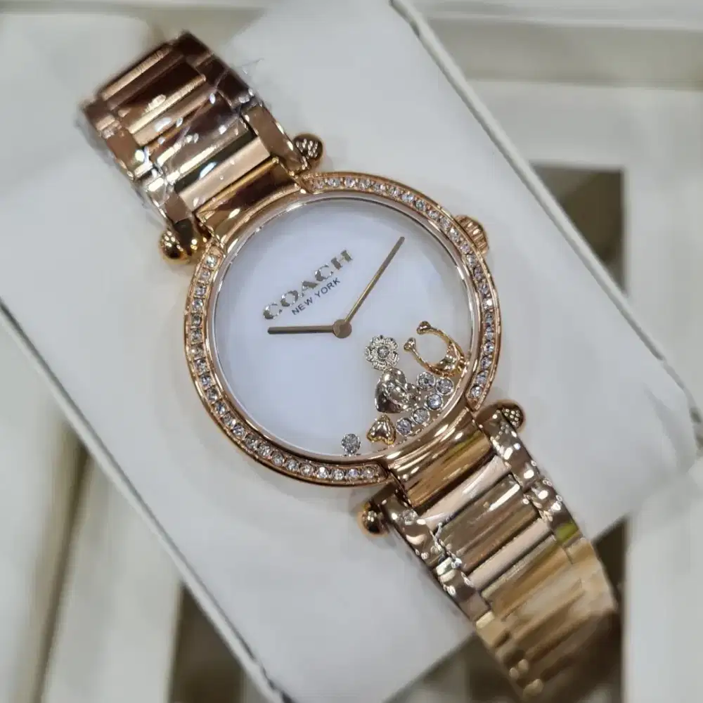 Live streamer berpengalaman