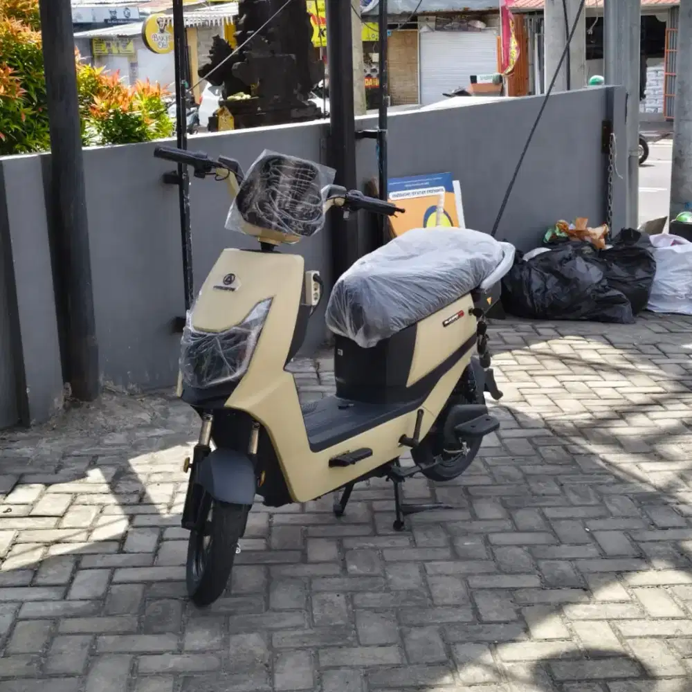Sepeda listrik bebas nego free ongkir