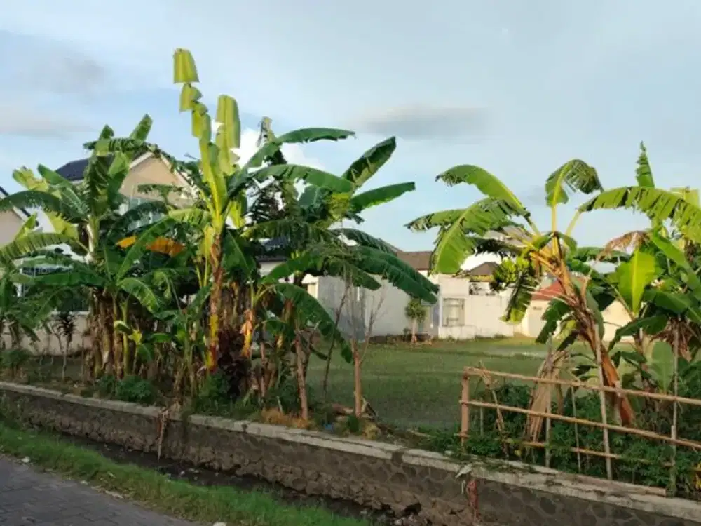 TANAH PREMIUM DAN STRATEGIS DI AREA RENON DENPASAR