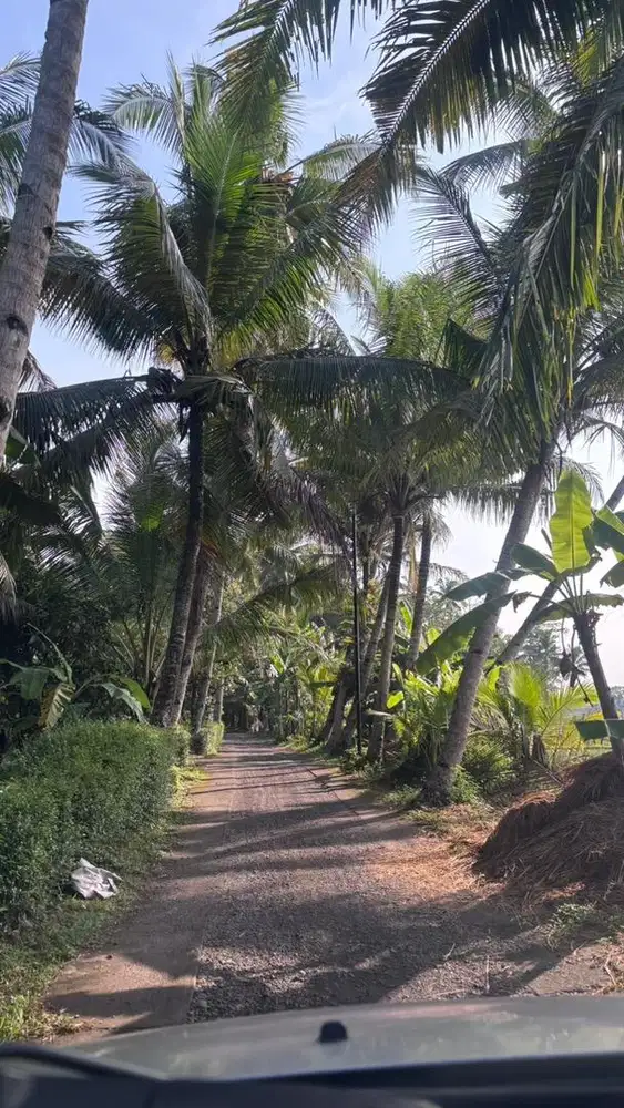 Pembantu rumah tangga