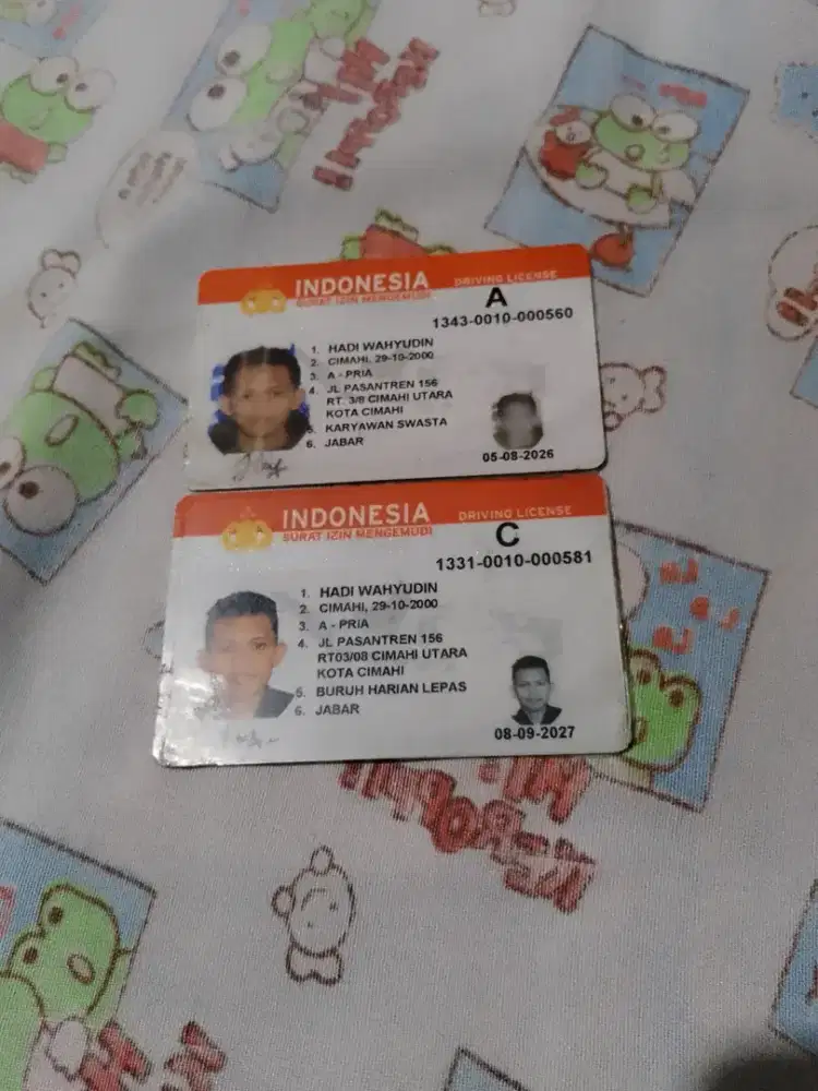 Driver pribadi/driver pengantaran barang