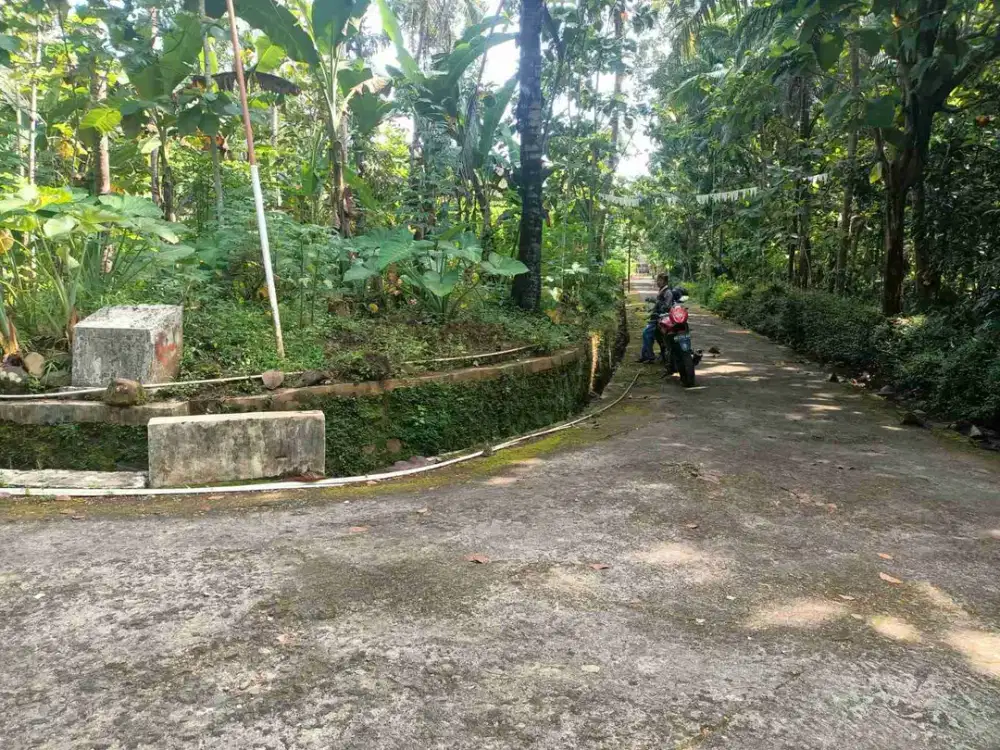 tanah dekso kulon Progo