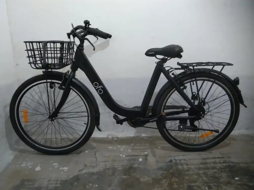 Sepeda dewasa pacific ofo