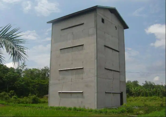 Lowongan Kerja di Rumah Burung Walet