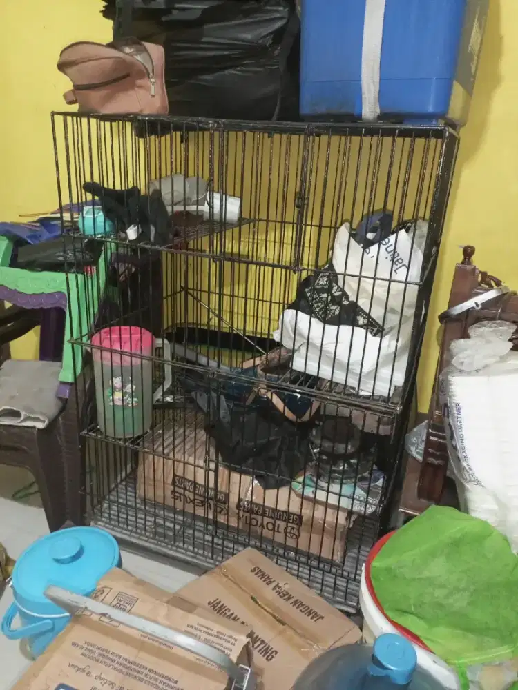 Ijin om Tante admin numpang lapaknya mau jual kandang kucing