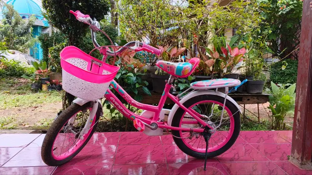 Sepeda Anak 16 Inch Bekas Kondisi Bagus – Usia 4-6 Tahun – Siap Pakai