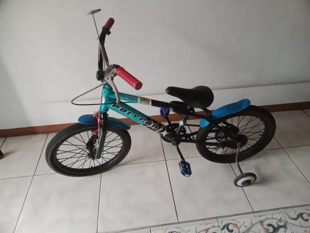 Sepeda anak Polygon uk 14