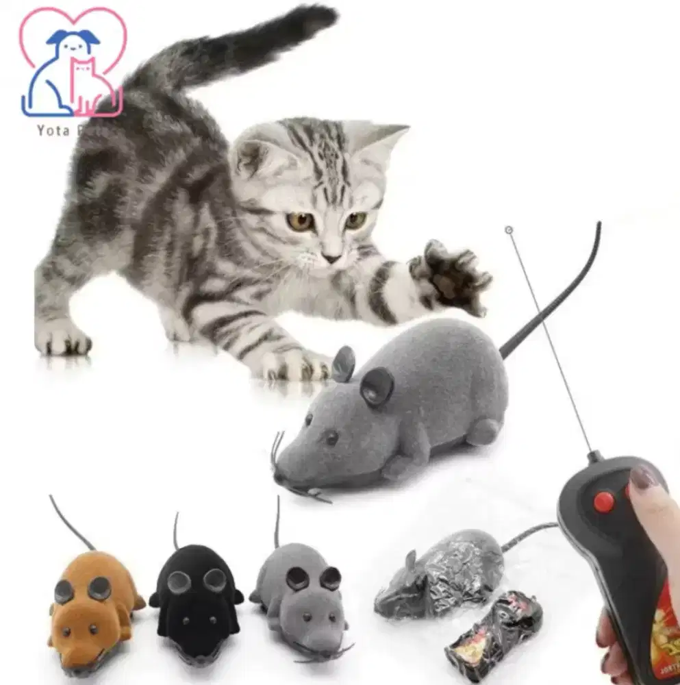 Tikus remote control