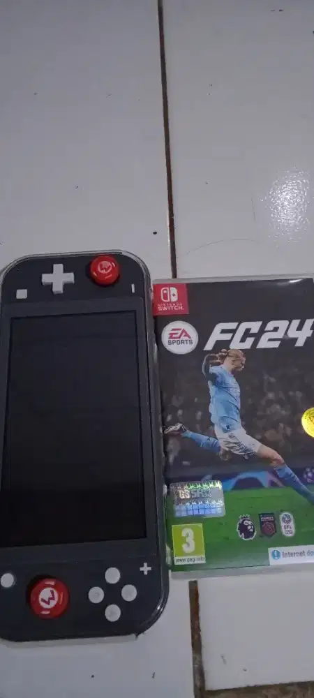 Nintendo switch lite