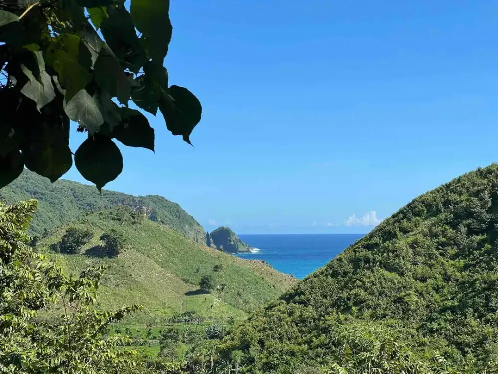 Tanah SHM 8.040 m² Dekat Pantai Mawun Lombok – 500m ke Pantai, Cocok Villa & Investasi!