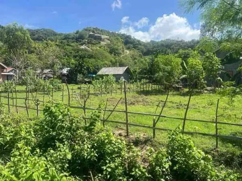 Tanah SHM 246 m² Dekat Pantai Selong Belanak – Area Serangan, Cocok Villa & Investasi!