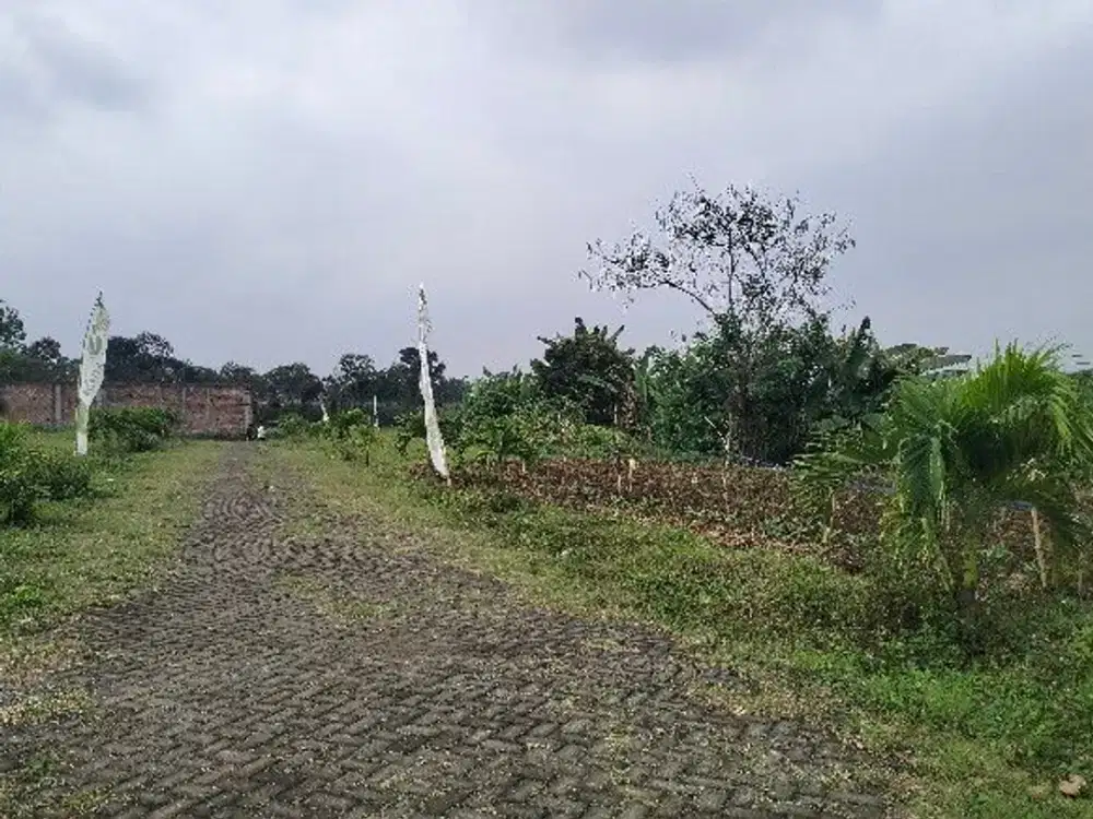 Dijual Tanah Pakis Malang Lokasi Strategis Dekat Akses Tol dan Bandara Abdul Rachman Saleh