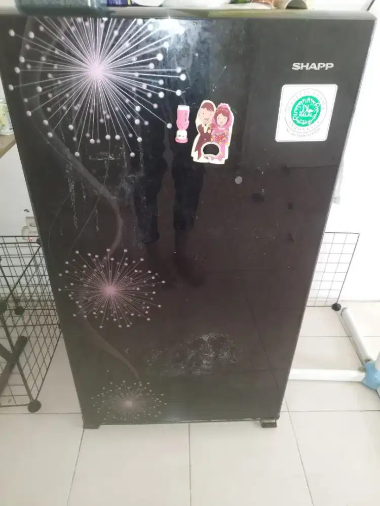 Kulkas Sharp 1 Pintu