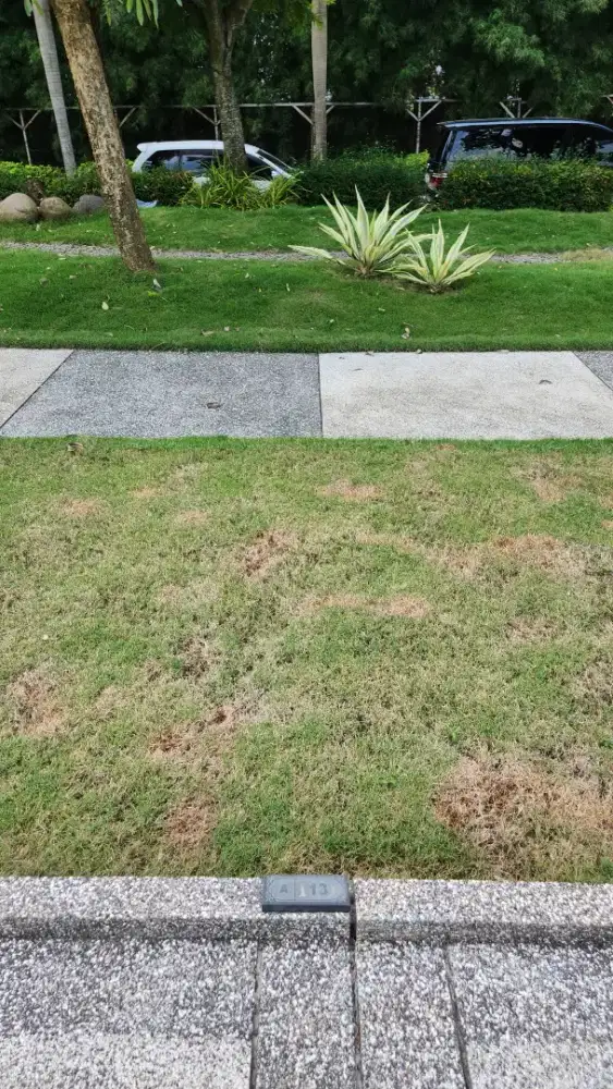 Lahan kuburan lokasi strategis