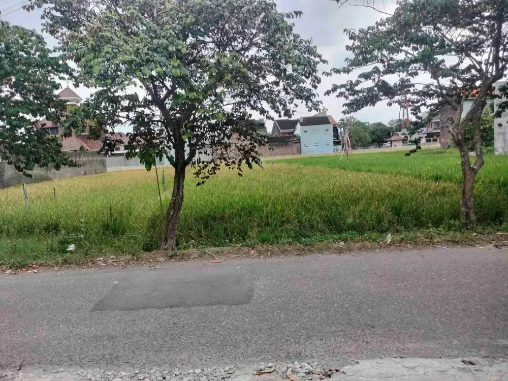 Dijual murah tanah disumber banjarsari solo