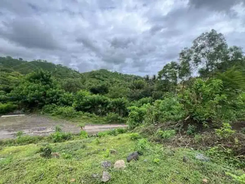 Tanah SHM 500 m² Dekat Central Kuta Mandalika Lombok – Pinggir Jalan, Kavling Langka di Area Villa!