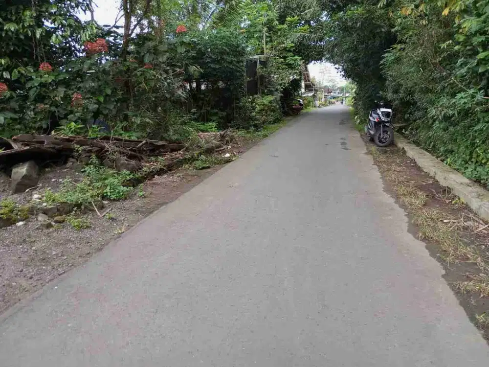 TANAH DIJUAL VIEW MERAPI di jl palagan km14