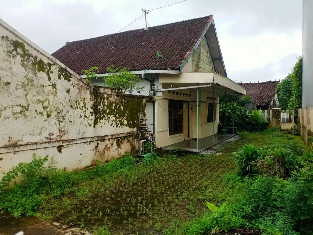 Rumah Besar di Tengah Kota