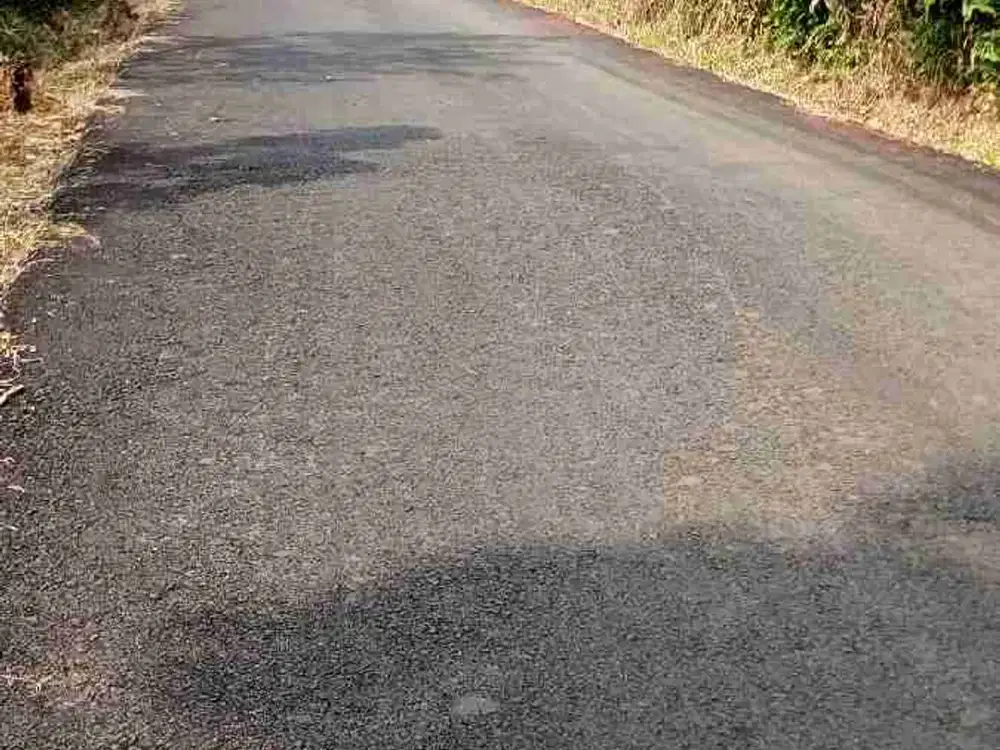 tanah darat berbentuk kebun