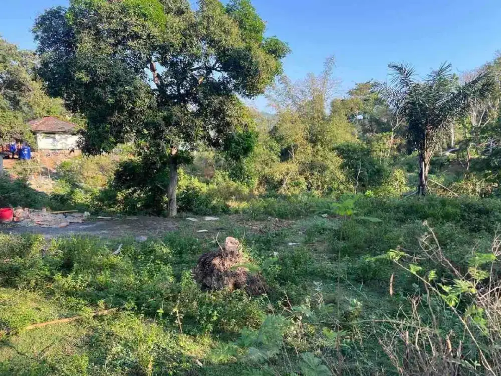 Tanah SHM 29 Are Dekat Central Kuta Mandalika Lombok – 50m dari Bypass, Area Villa Premium & Langka!