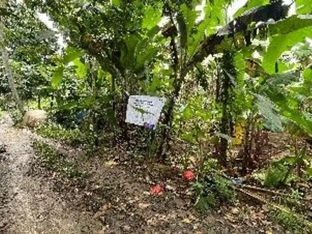 Tanah Perkebunan di Tajurhalang, Bogor