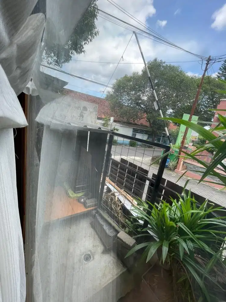 Dijual kandang anjing besar bahan kokoh menggunakan keramik alasnya