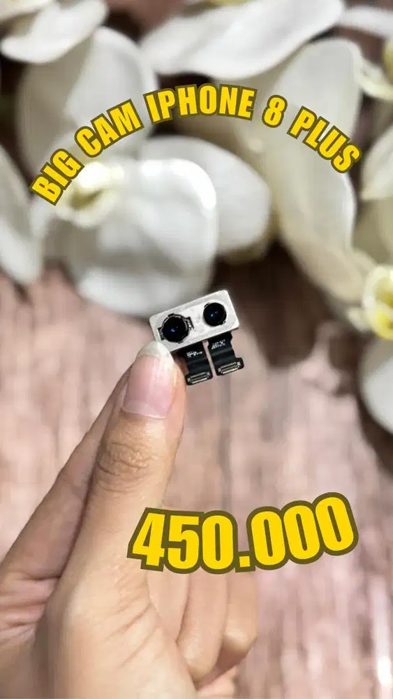 Kamera Belakang iPhone 8G / 8 Plus (24/3/26)