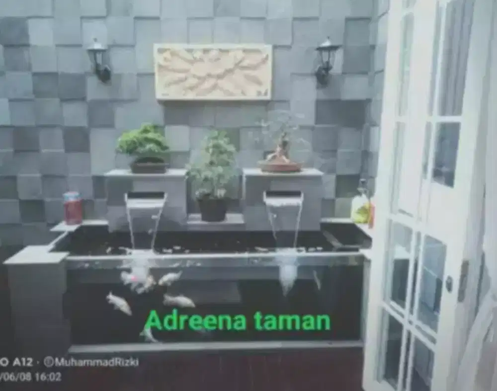 Kolam koi minimalis.