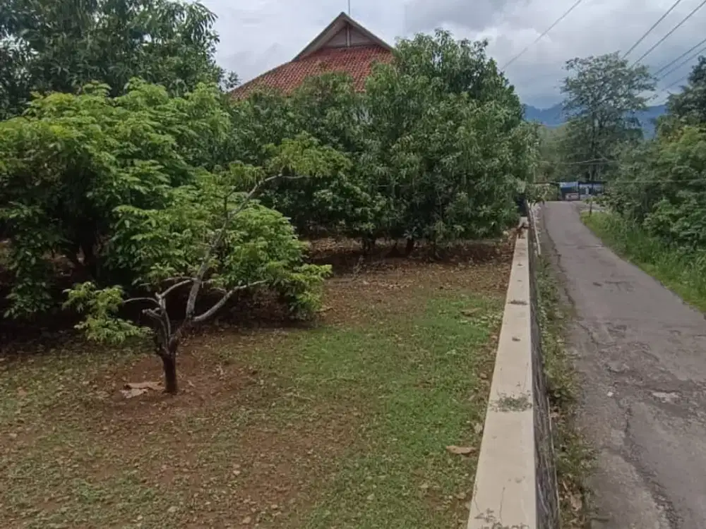 Tanah Dijual Selogiri Wonogiri Dekat Waduk Tandon