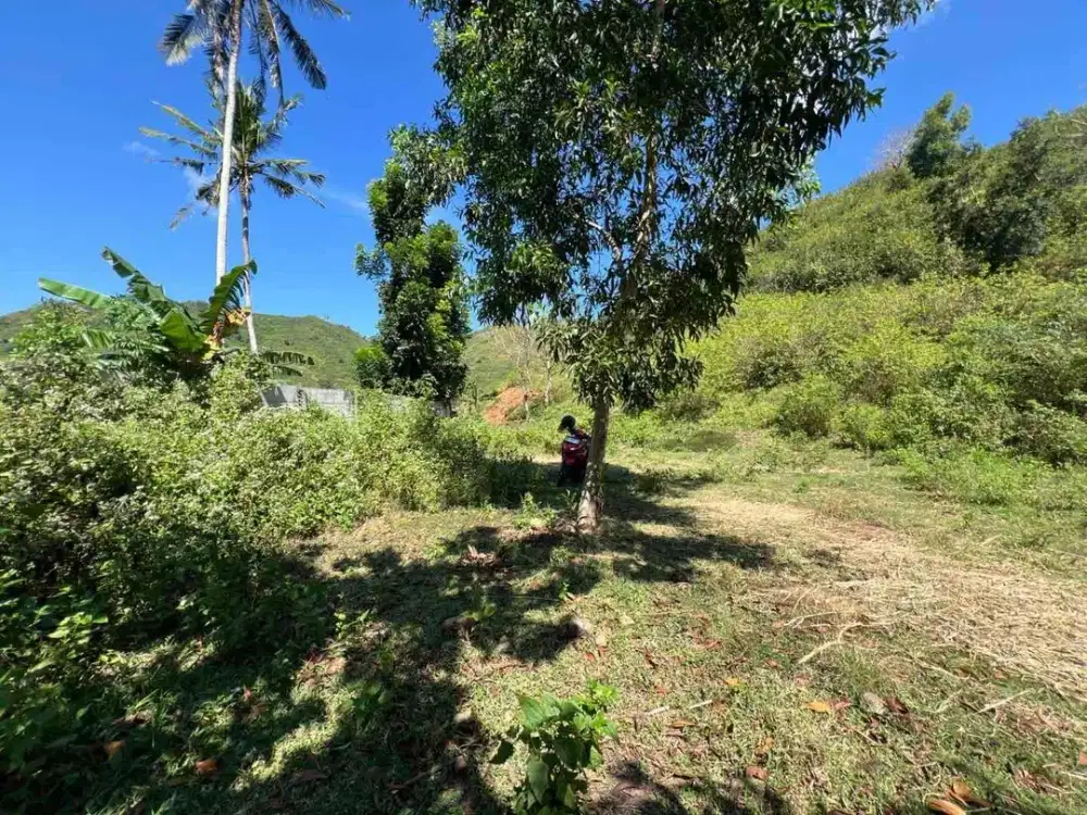 Tanah SHM 58 Are Dekat Sirkuit MotoGP Mandalika Lombok – Harga 100 Juta/Are, Cocok Villa & Investasi!