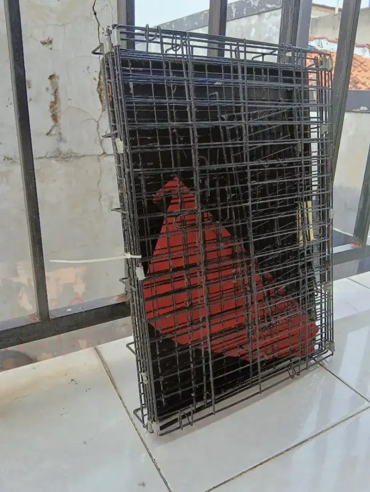 Kandang kucing bekas-baik