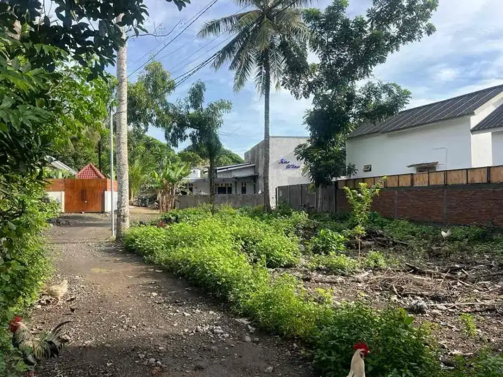 Tanah Premium Langka di Central Kuta Mandalika – Cocok untuk Villa Eksklusif