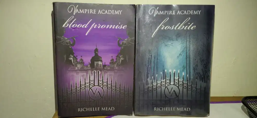 Novel Vampire Academy