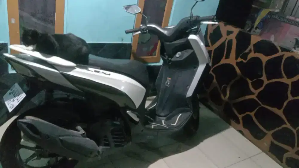 Cari yg serius sanak