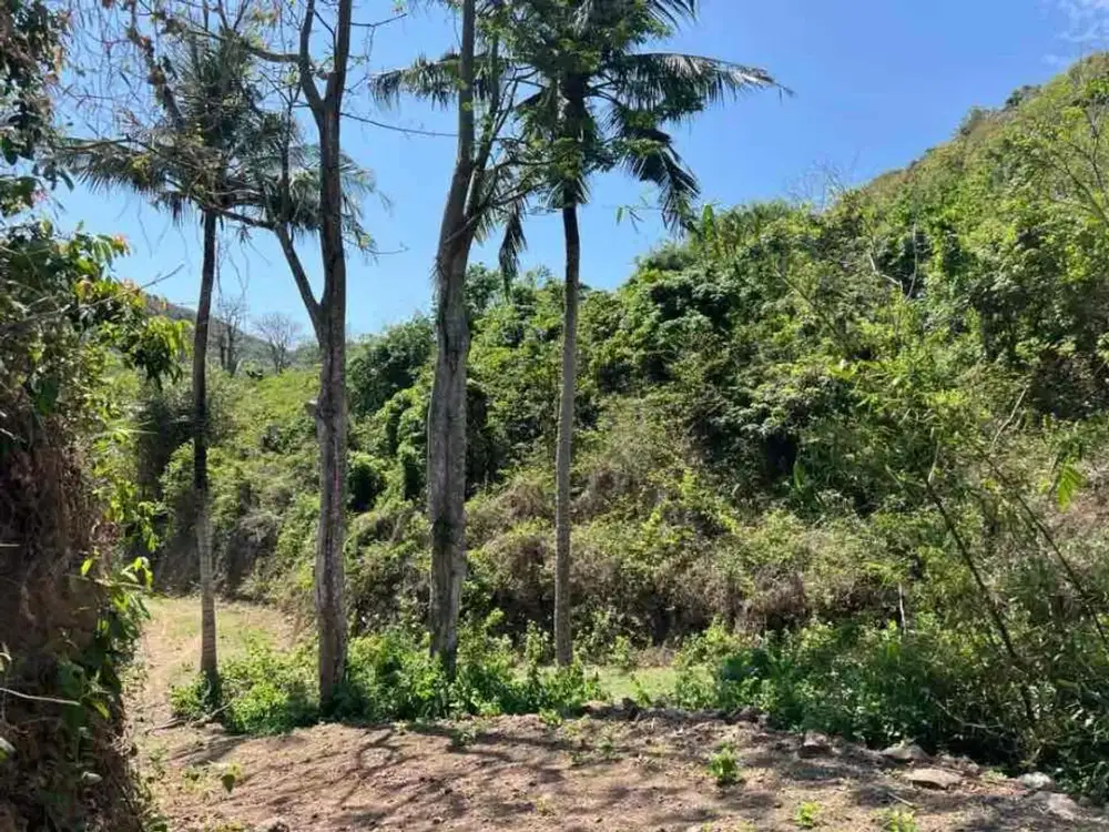 Tanah Asri Dekat Pantai Pantai Tampah & Pantai Lancing Lombok – Cocok untuk Villa & Investasi