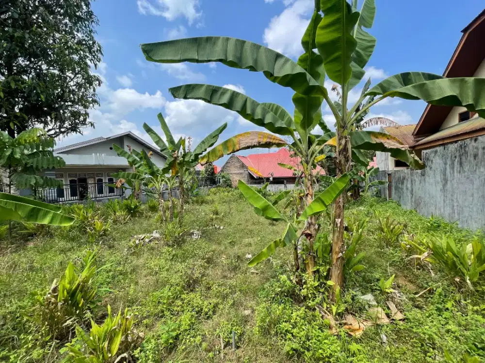 Dijual tanah dekat SMP N 23 padang, kec pauh, kota padang