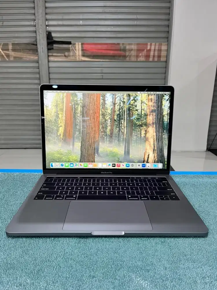 MacBook Pro TB 2019 Grey