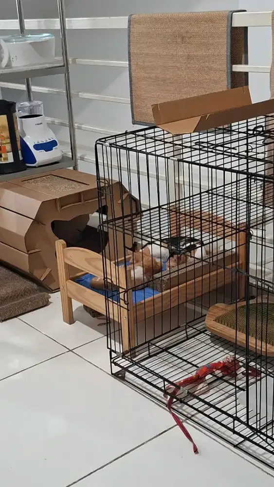 Dicari Pembantu / Asisten Rumah Tangga